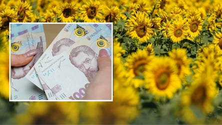 Як оновилися ціни на соняшник з початком весни - 285x160
