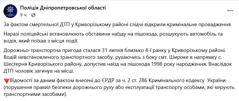 Чоловік на Дніпропетровщині збив ветерана на смерть та втік - фото 1