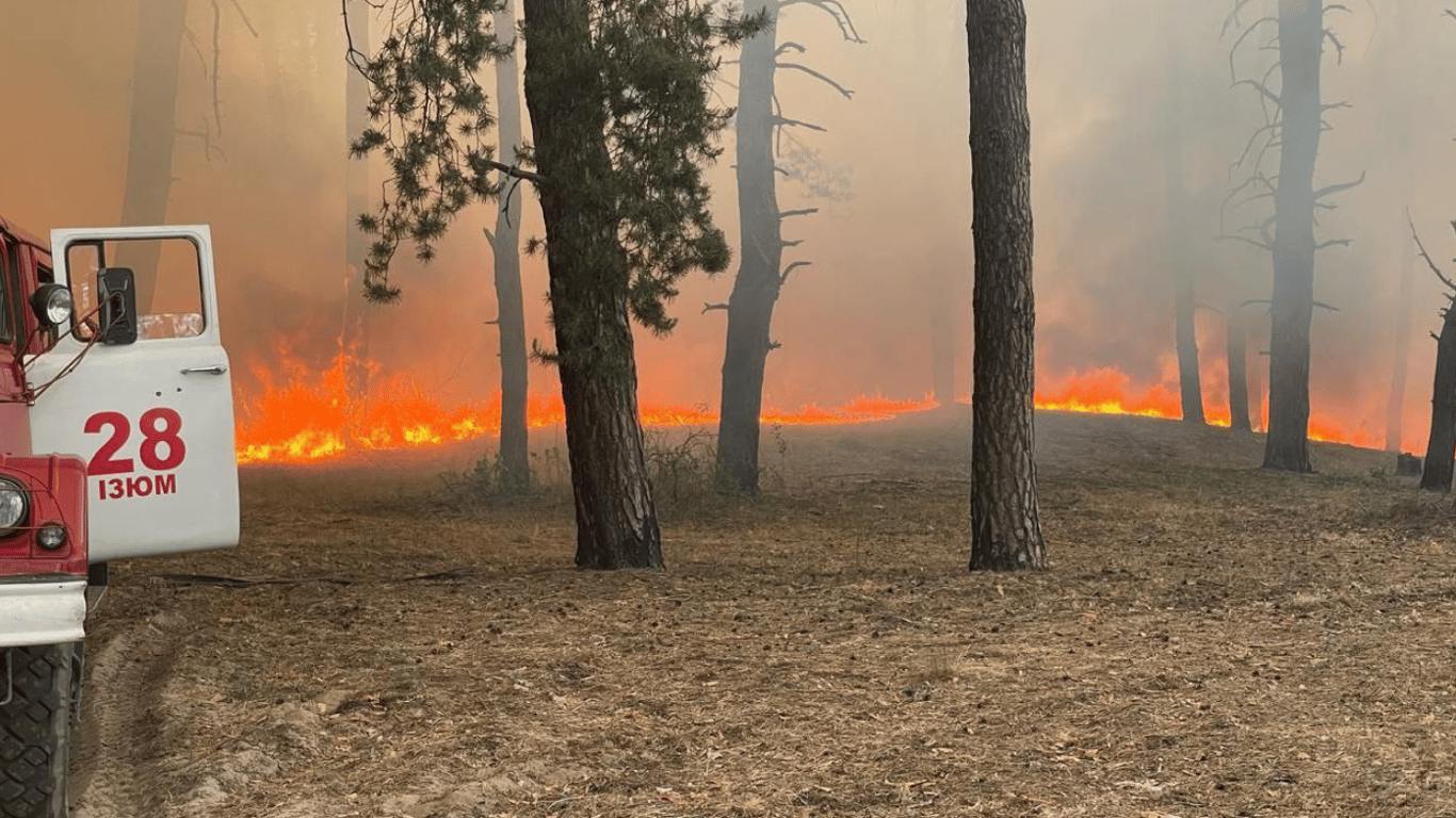 На Харківщині продовжують гасити лісові пожежі, спричинені обстрілами