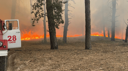 На Харьковщине из-за окупантов до сих пор бушует 15 лесных пожаров — сколько удалось ликвидировать - 285x160