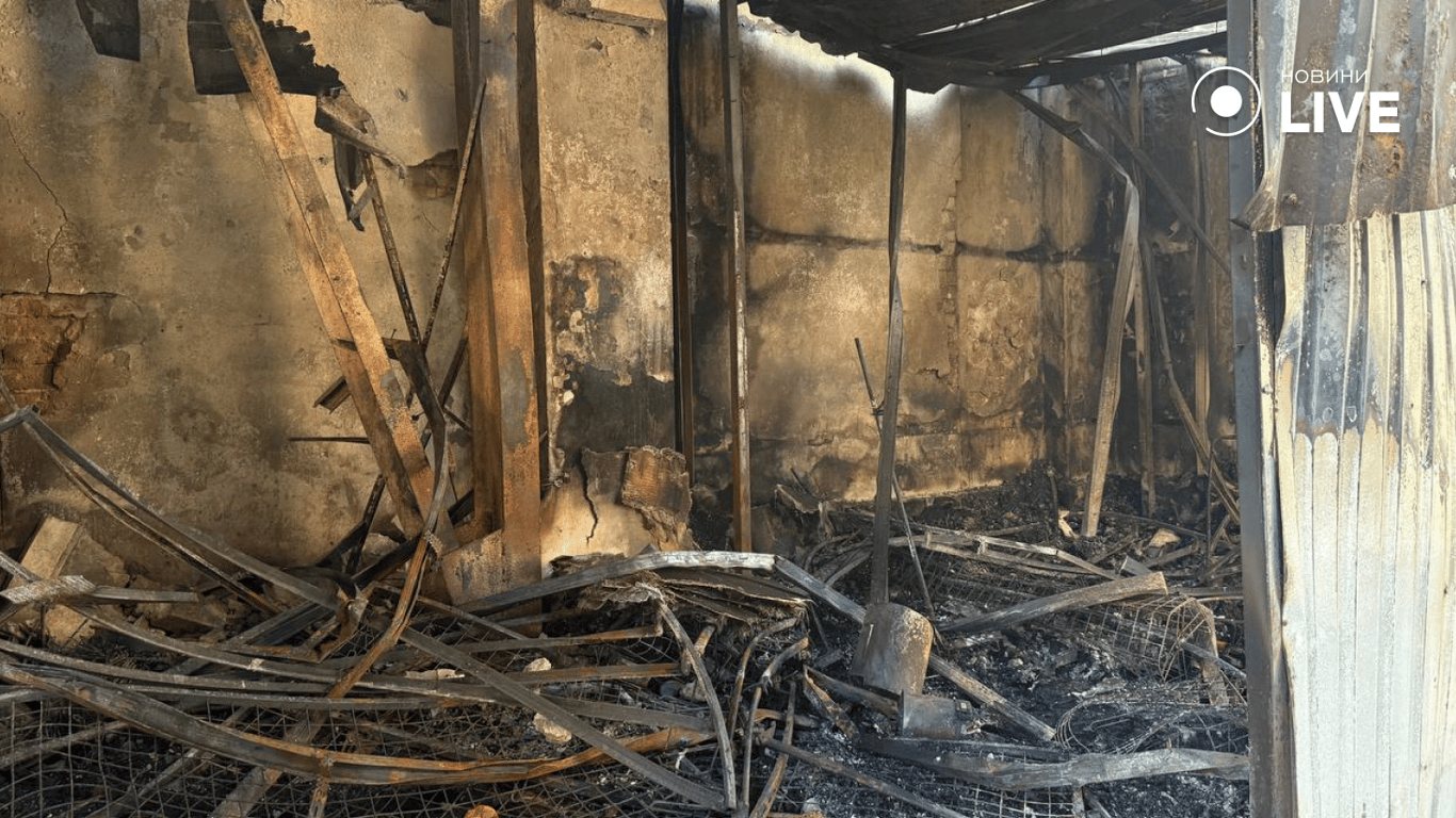 Обстрыл одеського привозу — що кажуть торговці ринку - фото 8