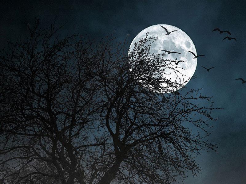 Когда полная Луна в сентябре 2024 — дата и время