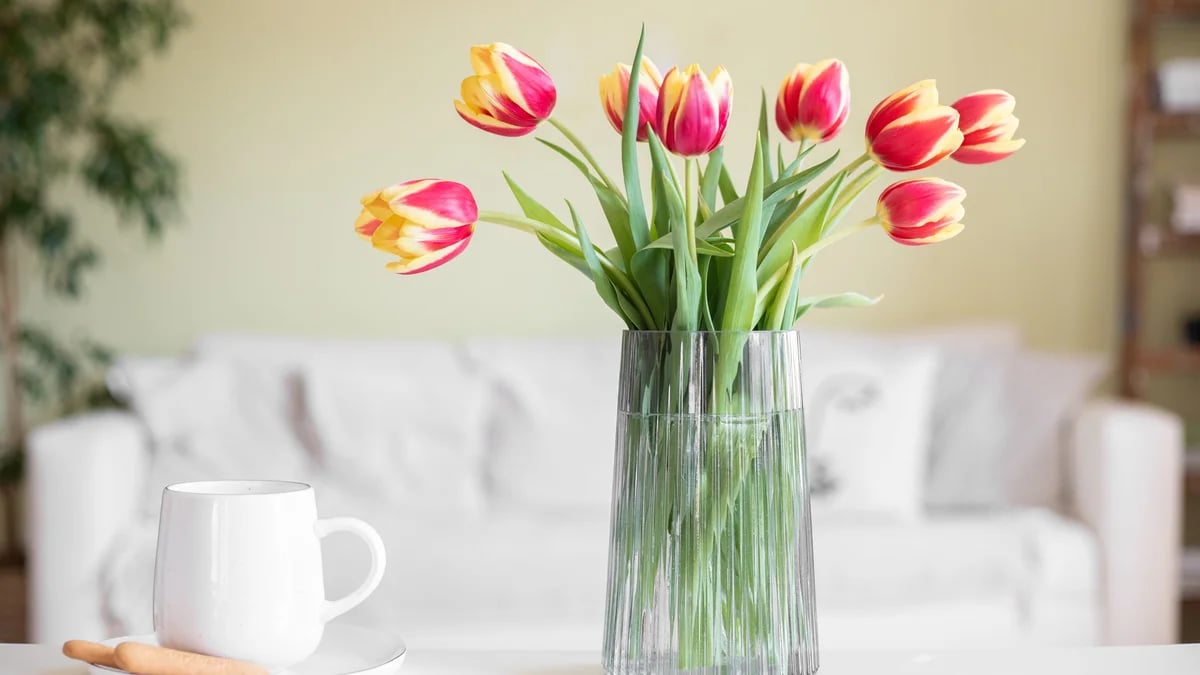 Чому тюльпани швидко в'януть