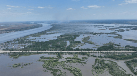 В Украине подсчитали экологический ущерб в результате подрыва Каховской ГЭС — сумма впечатляет - 290x160