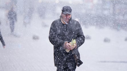 Синоптики предупреждают о зимней непогоде в Харькове завтра - 290x166