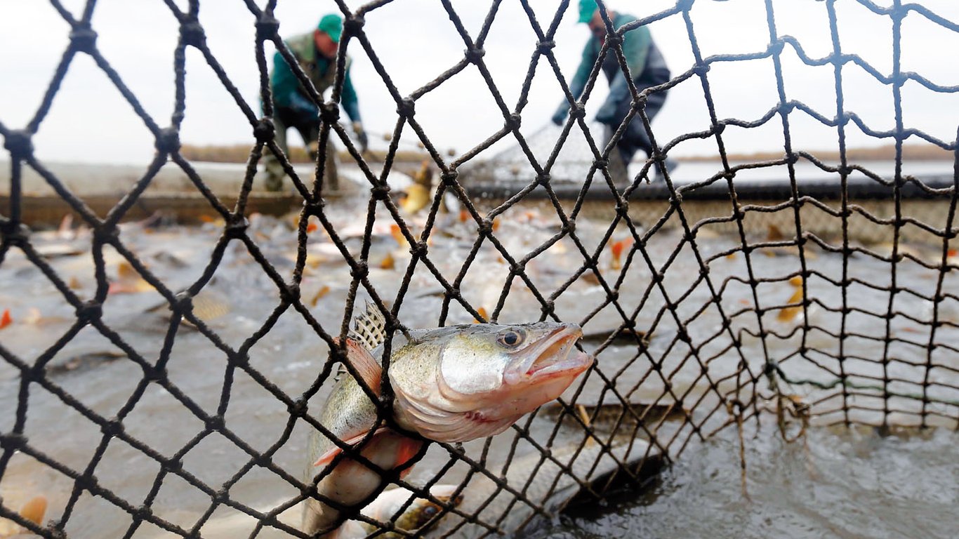 Ловил на 150-метровую сетку: в Одесской области задержали рыбака