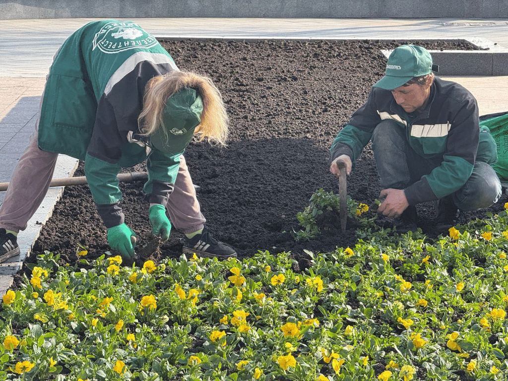 В Одесі висадили перші весняні квіти — де саме - фото 1