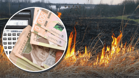 Сувора весняна заборона — за що можна отримати великий штраф у 2026 році - 285x160