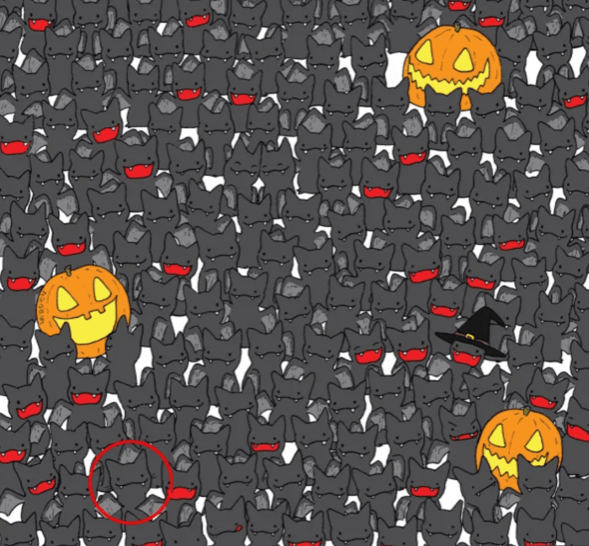 Найденный котик в оптической иллюзии