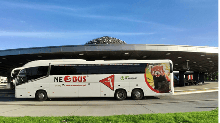 Прямо с украинской границы: автобусы по Польше от 4 злотых - 285x160