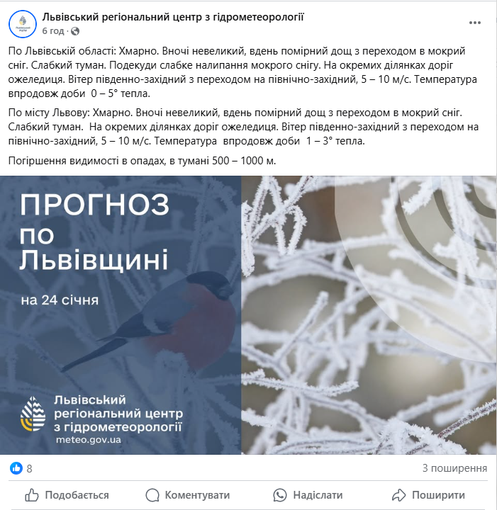 Львов заметет снегом — предупреждают о сильных осадках завтра - фото 2