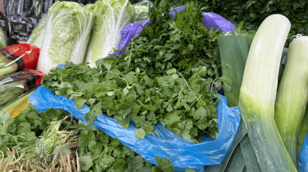 Цены на зелень в Одессе перед праздниками — что подорожало - 285x160