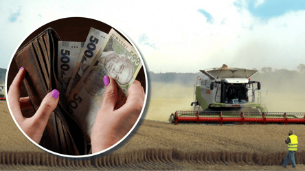 Ціни на пшеницю в Україні: як оновилися у квітні - 285x160