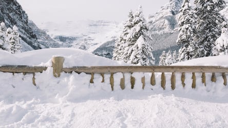 Какой забор может испортить отношения с соседом — важные нюансы - 285x160