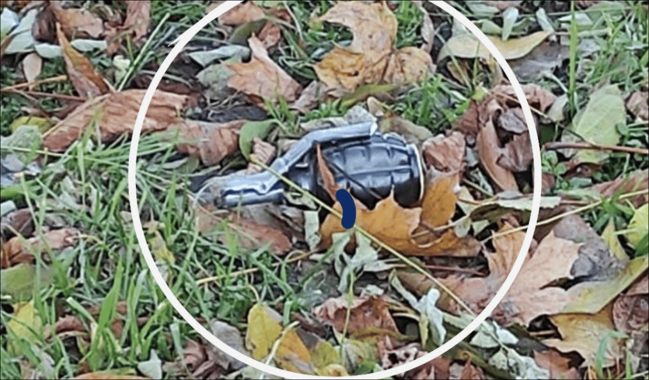 В одеському парку знайшли бойову гранату — деталі - фото 1