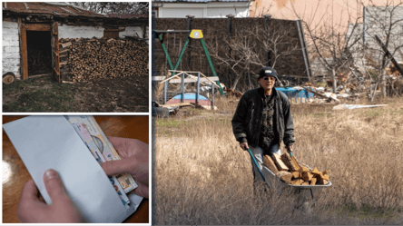 Отопление дровами в Украине: 7 ошибок, которые испортят ваши запасы на зиму - 285x160