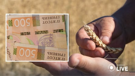 Ціни на зерно — яка пшениця почала додавати у ціні наприкінці зими - 290x166