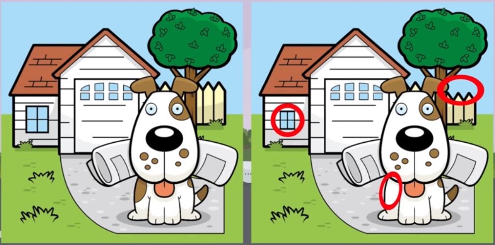 Милий домашній улюбленець приніс господарю газету — знайдіть три відмінності - фото 2