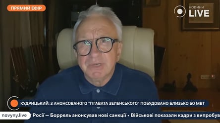 Кученко прокоментував звільнення очільника Укренерго Кудрицького - 285x160