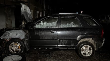 Підпалювали авто на замовлення — поліція затримала двох одеситок - 290x166