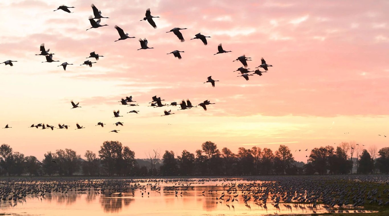 Народні прикмети та традиції на 16 жовтня