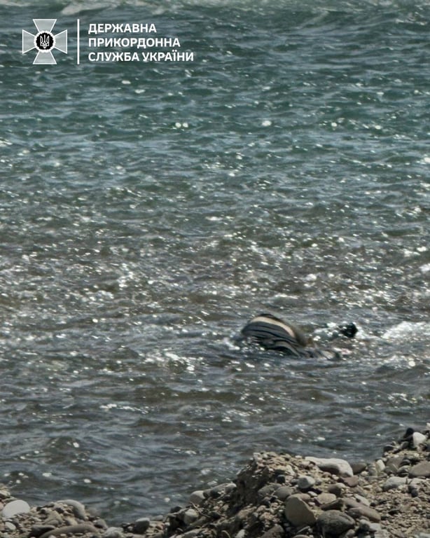 Потонулий в Тисі