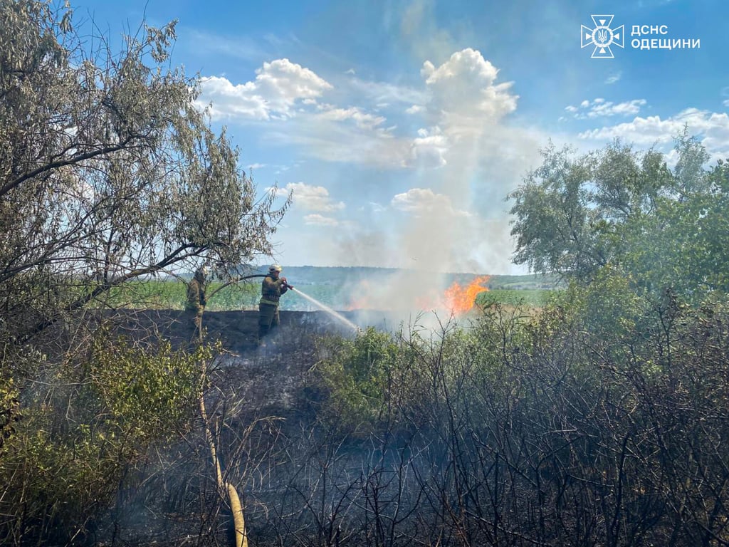 Пожежа у Березівському районі Одещини