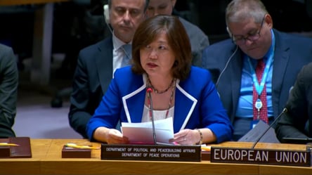 Загроза для продовольчої безпеки: в ООН відреагували на удари РФ по суднах у Чорному морі - 285x160
