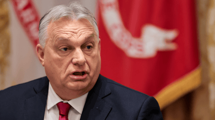 Депутат назвав, скільки паспортів Угорщина роздала українцям - 285x160