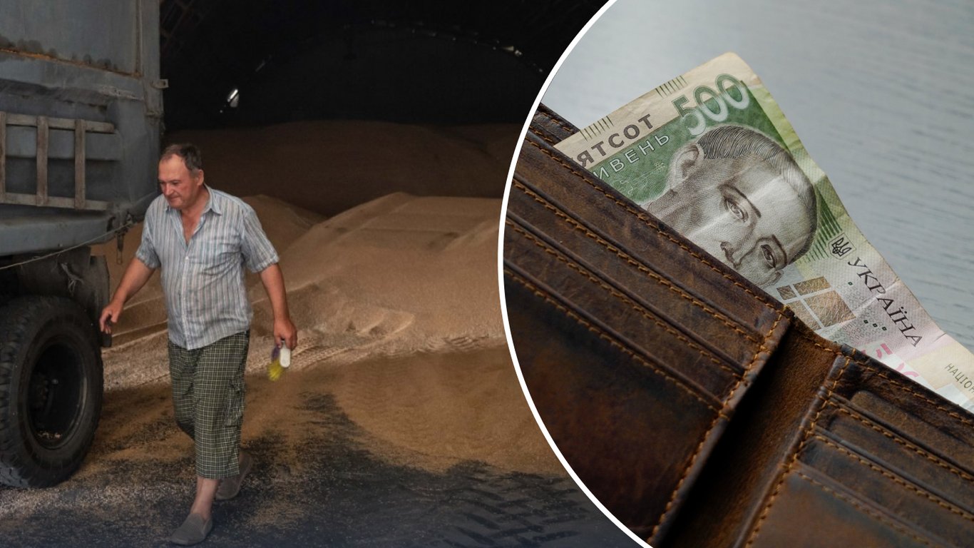 Цены на пшеницу: как и почему подешевело зерно