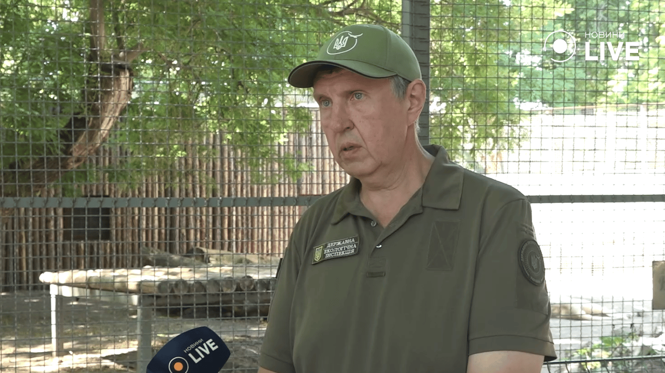 Енот - фото 1