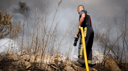Три пожара за сутки — спасатели боролись со стихией в Одесской области - 285x160