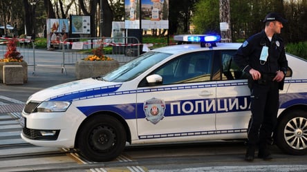 У Сербії на кордоні затримали українця, який ховав сотні тисяч євро готівкою - 290x166
