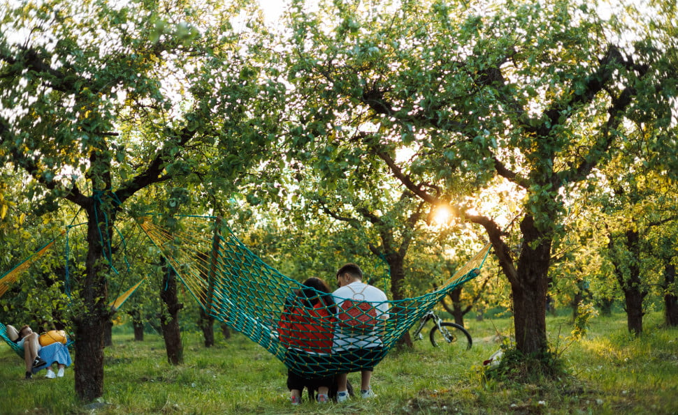 Сад гамаков