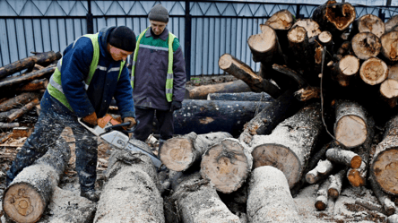 Will Zelenskyy sign the scandalous law on firewood — media - 285x160