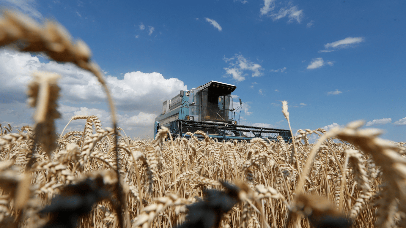 Цены на зерновые в Украине на 17 марта 2024 года