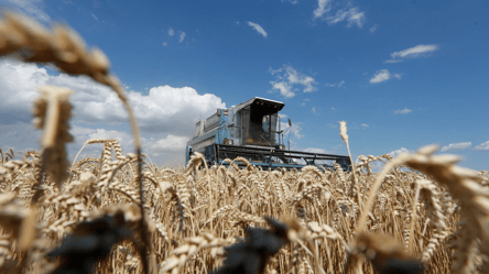Цены на зерно в Украине — сколько стоит ячмень в марте - 285x160