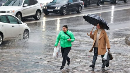 Мокрый снег и дождь — Укргидрометцентр заявил об ухудшении погоды - 290x166