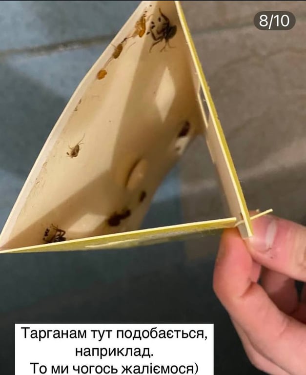 Дитбудинок Миколаєва