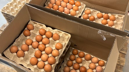 Для куриных яиц переписали цены: сколько стоит одна штука в АТБ - 285x160