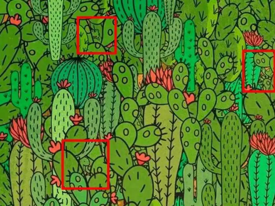 Складна головоломка — знайдіть трьох тварин в кактусових хащах за 12 секунд - фото 2
