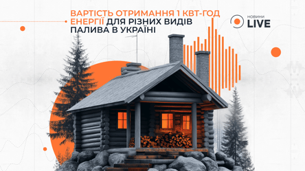 Газ, вугілля чи дрова — чим в Україні вигідніше опалювати будинок - 285x160