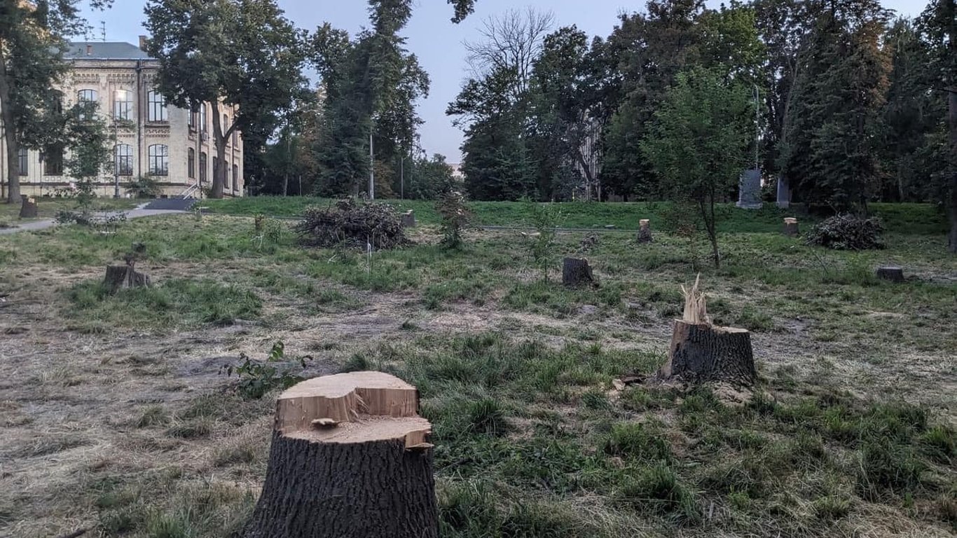 В столичном парке КПИ неизвестные срезали деревья