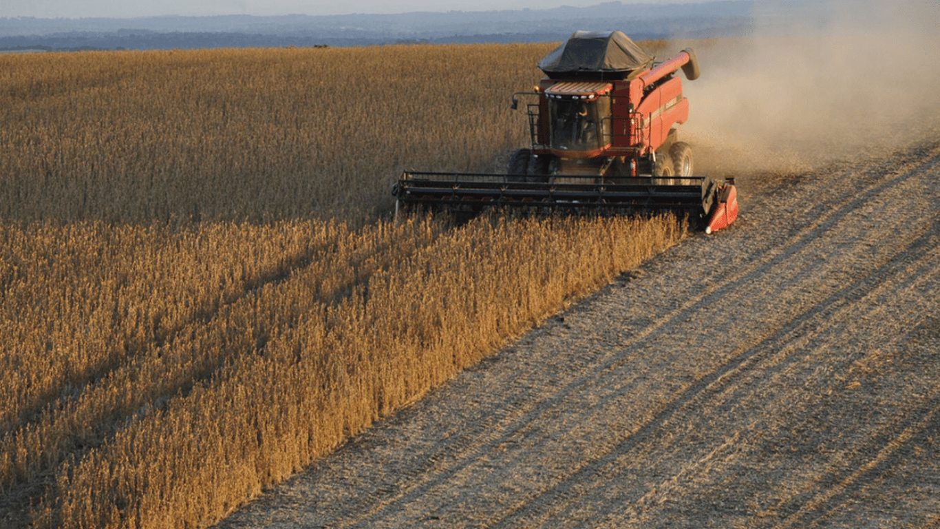 Цены на зерновые в Украине по состоянию на 24 декабря 2023 года