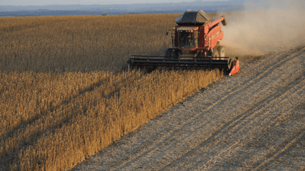Цены на зерно в Украине — сколько стоит соя в декабре - 285x160