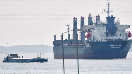 Дунайські порти продовжують збільшувати свій потенціал - 285x160