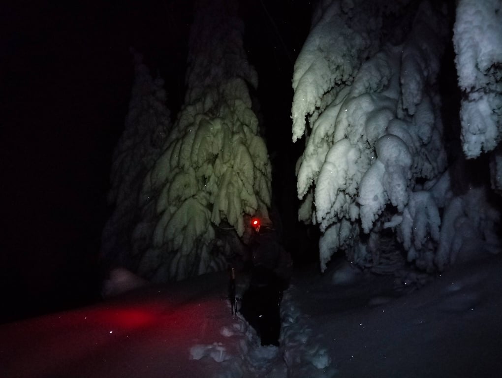 Сніг у горах