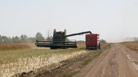 В Украине взлетели цены на ячмень — сколько стоят зерновые в октябре - 290x166