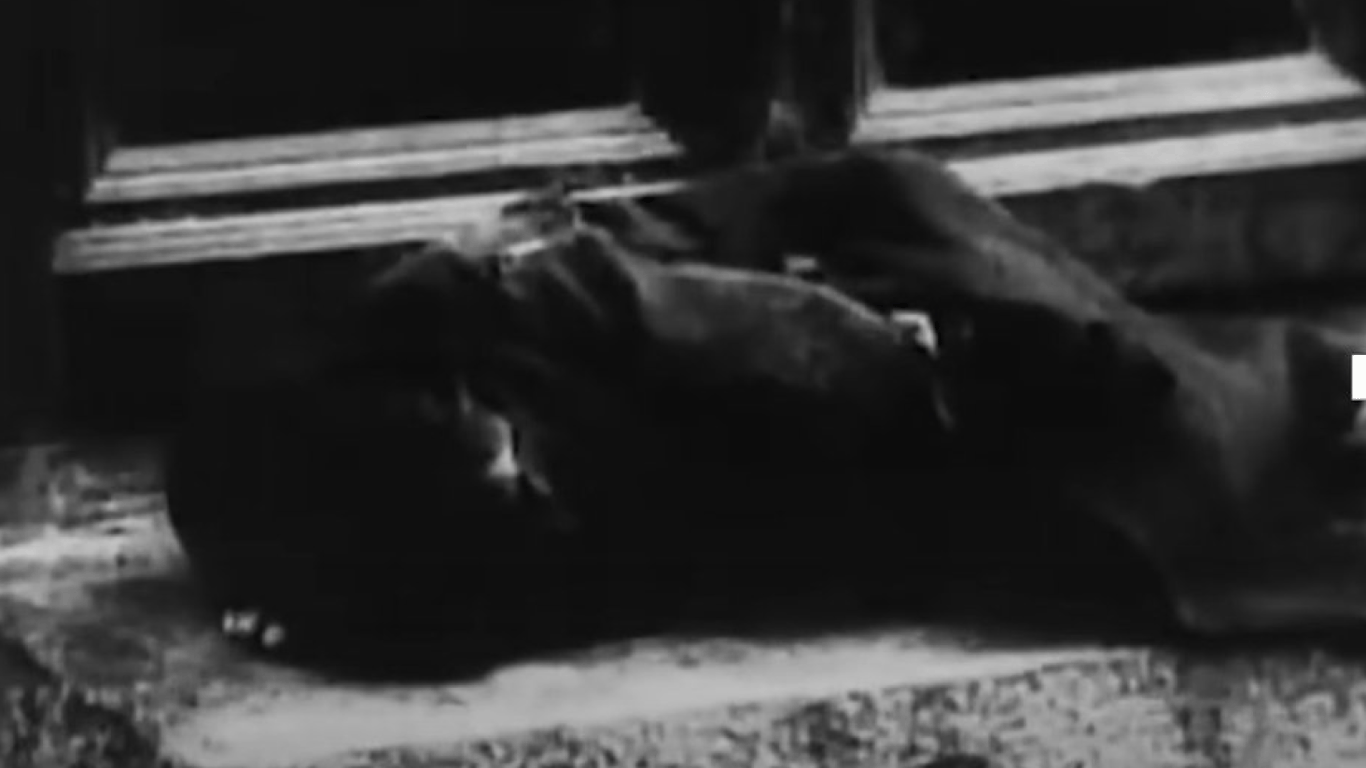 Скриншот програми "ГОЛОДОМОР. Реальна історія з Акімом Галімовим". YouTube: РЕАЛЬНА ІСТОРІЯ