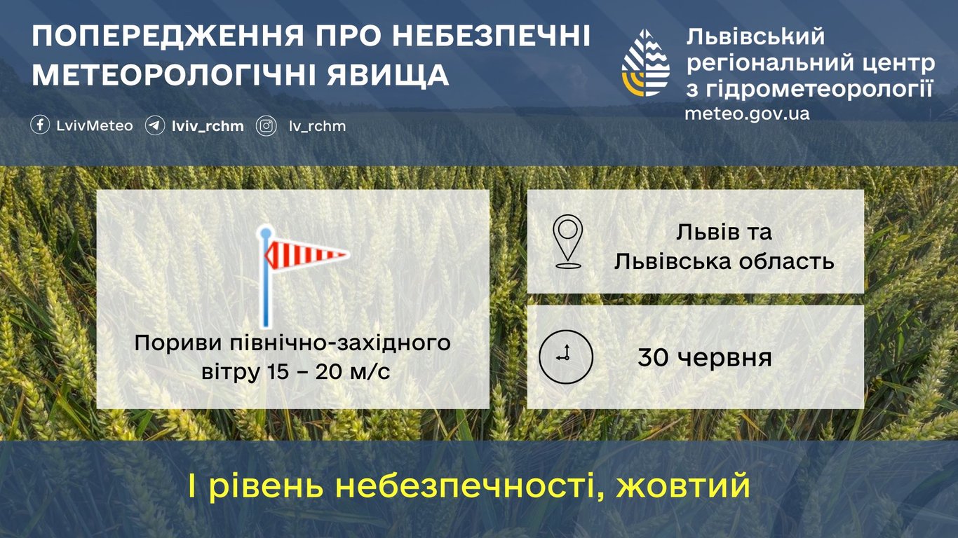 Пориви вітру у Львові 30 червня